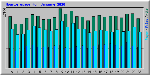 Hourly usage for January 2020